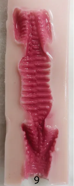 #9(13cm)